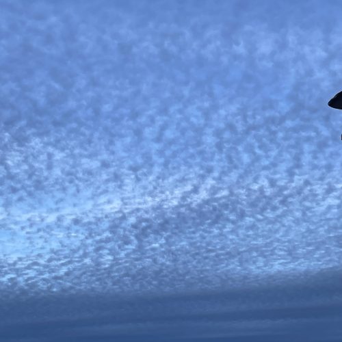 14001ABD-EB61-4D22-ABCC-4D856058C85F