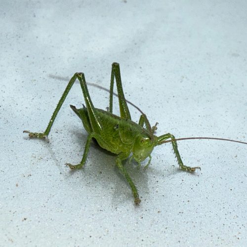 6a4b71f1-958e-4cf4-b014-27c7443a9e12