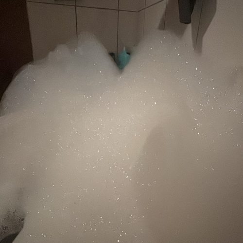 91183AA4-10C2-4D91-99D7-2229957EAFDB