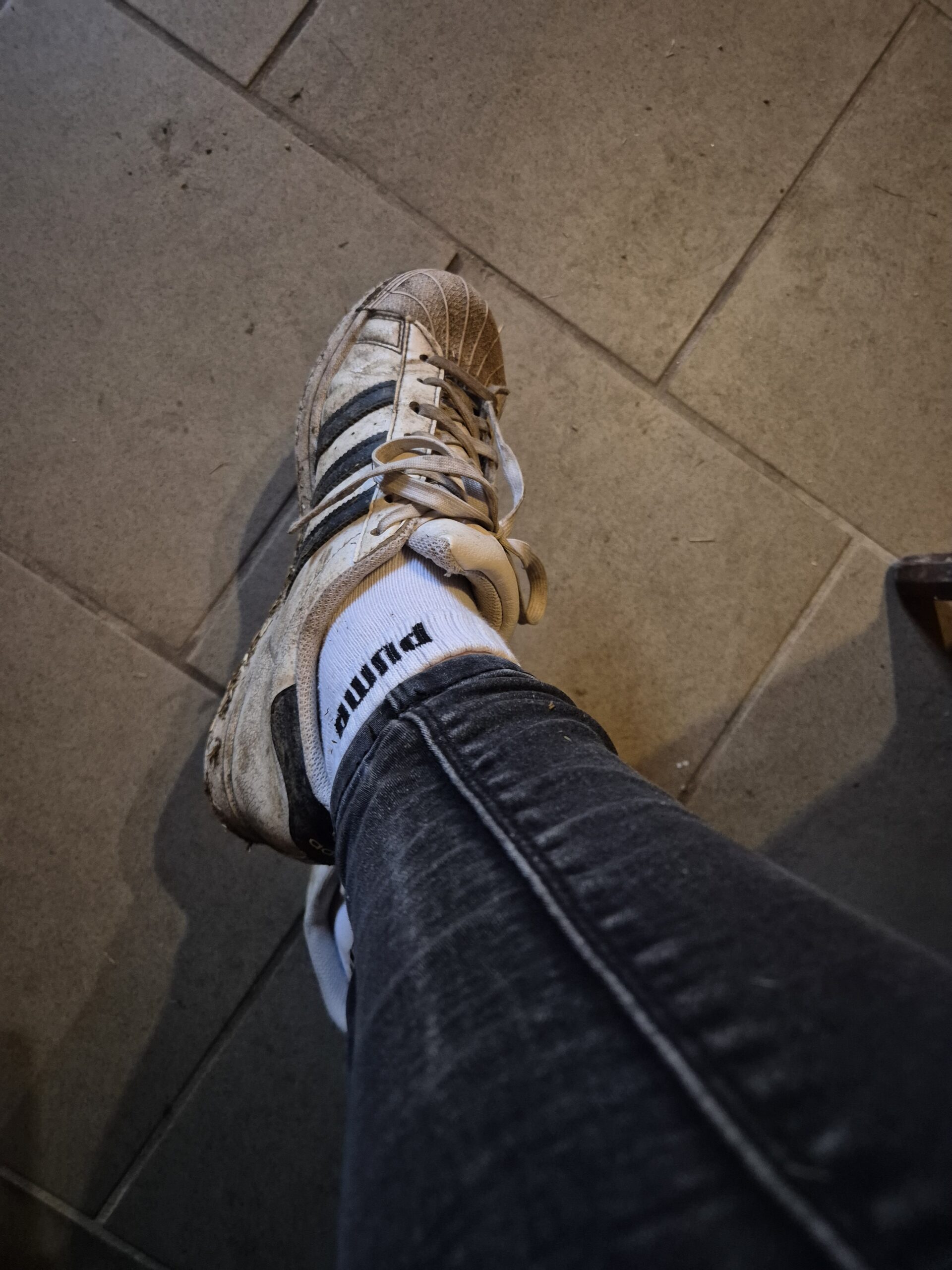 Gern getragene Stallsöckchen / Sneacker  / Puma