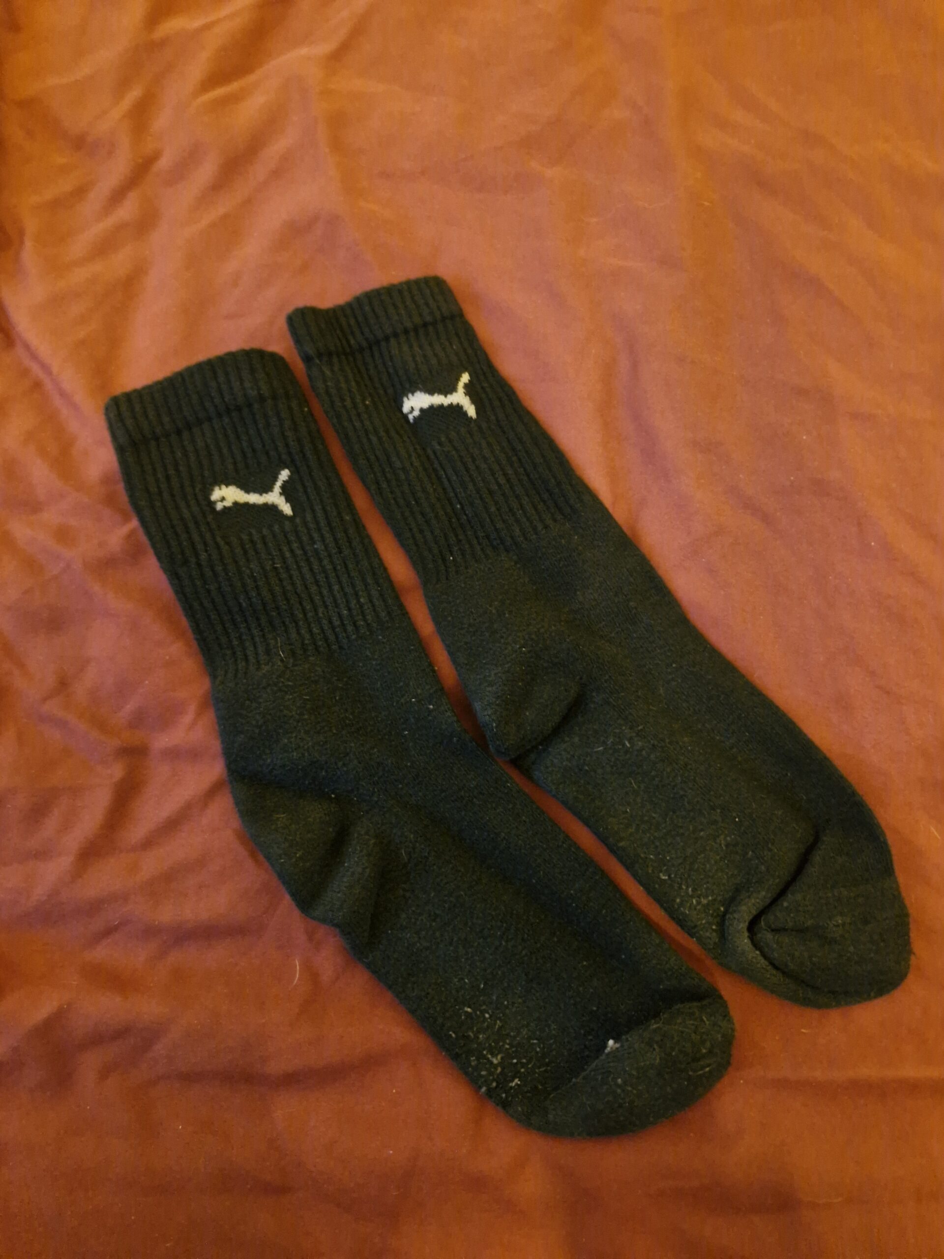 Tennissocken, sportlich, modern, sexy