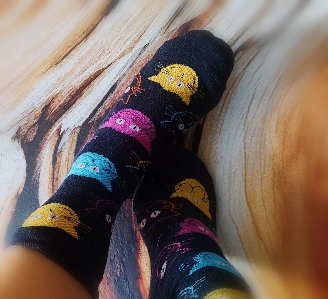 Bunte Pussys