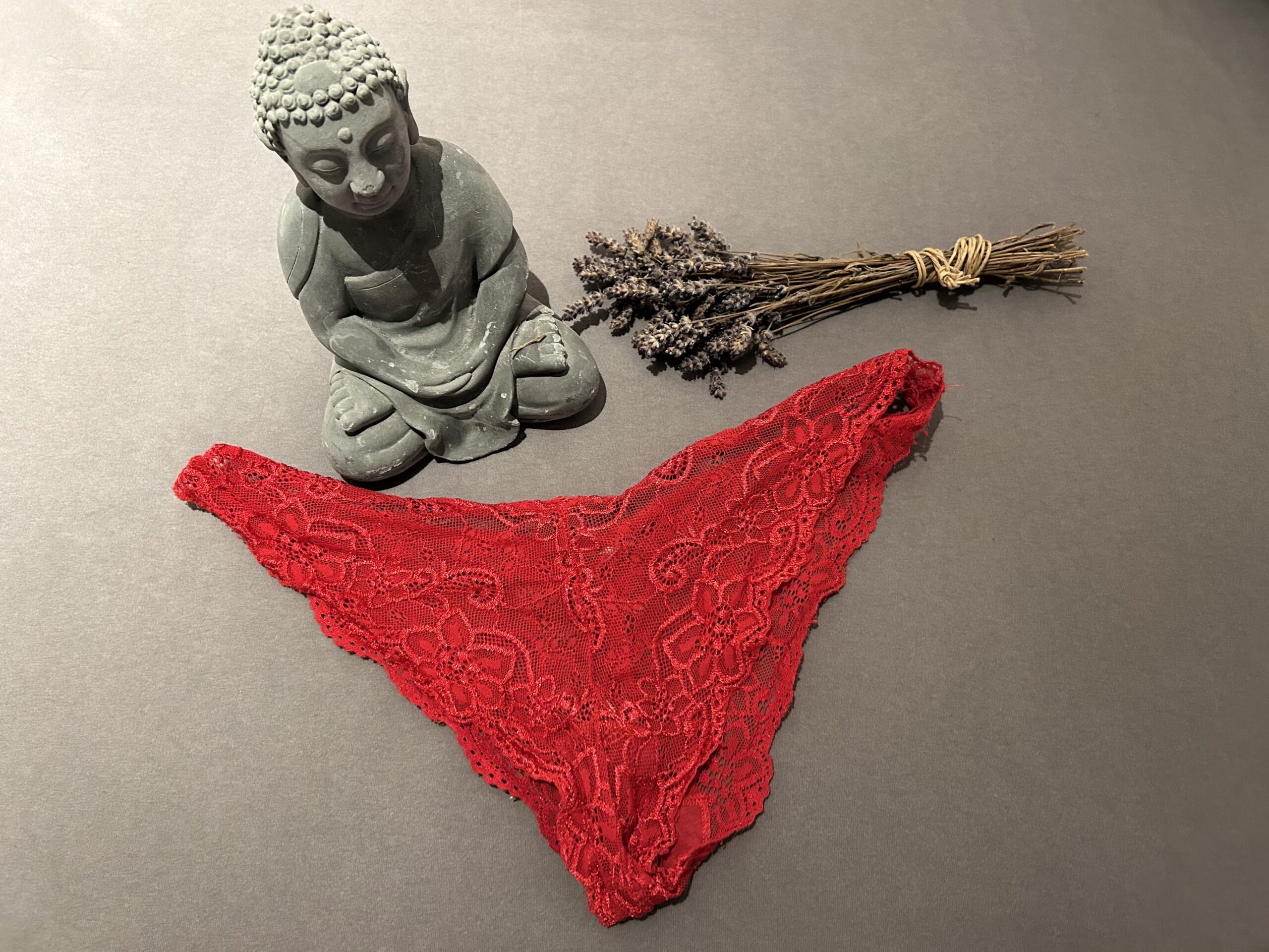 ❤️ Roter Spitzen-Slip – Zarte Verführung mit sündiger Tiefe ❤️